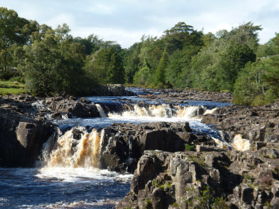 River Tees...Durham Side....Low Force