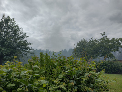IMG_20220705_151723879_HDR.jpg