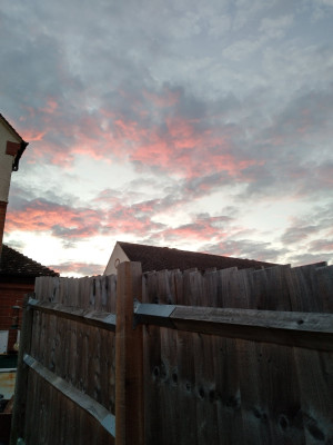 IMG_20220706_213702_HDR.jpg