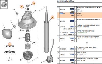 C5 II strut.PNG