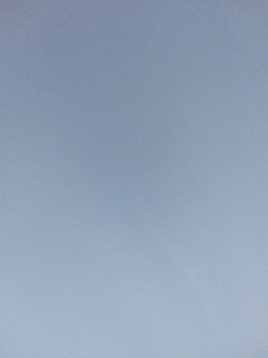 IMG_20220710_214752.jpg