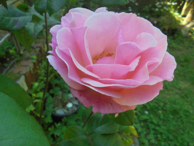 DSC02172.JPG