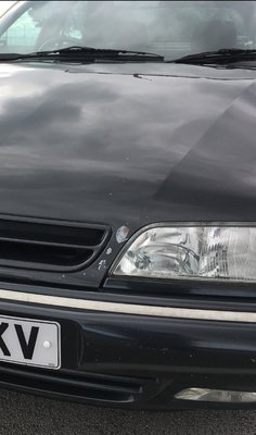 bonnet.jpg