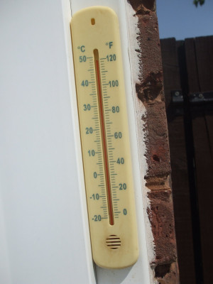 DSCF3614.JPG