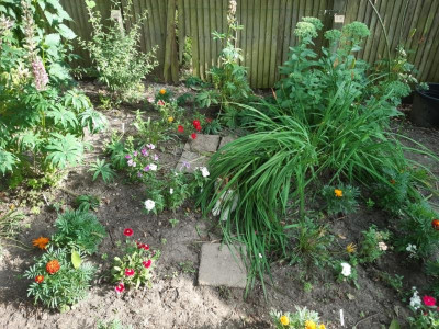 Hidden cat, avoiding the sun - own work