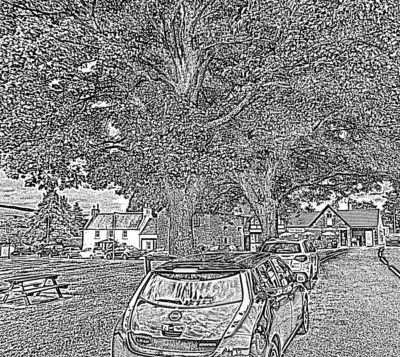 charcoal Leaf