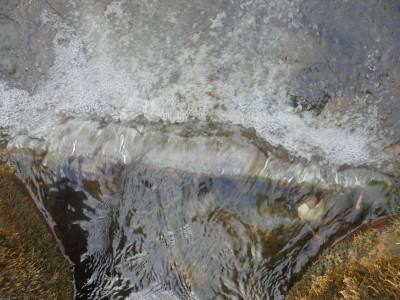 and W is for Water