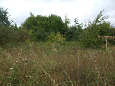 DSCF3705.JPG