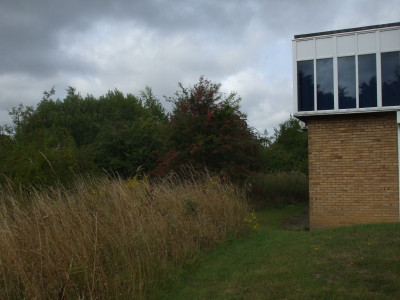 DSCF3706.JPG