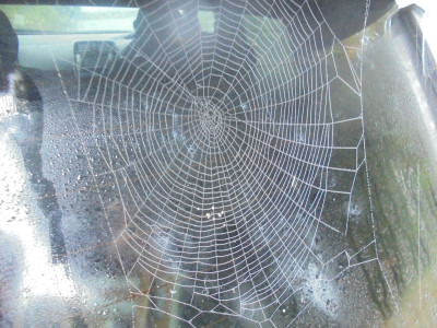 Oh what a tangled web we weave
