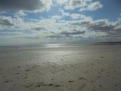Alnmouth-ish Northumberland today.