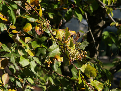 AA230944.JPG