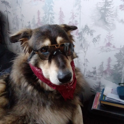 Cool dude