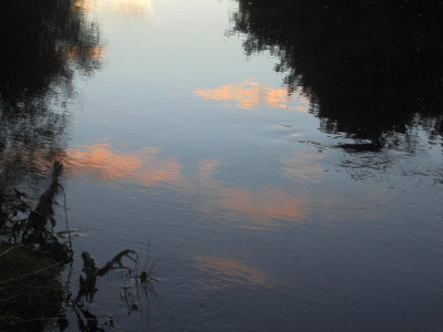 Calm still waters