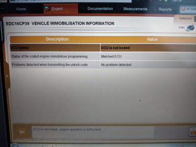 Vehicle immobilisation information