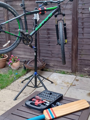 bike.jpeg