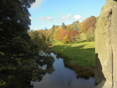 Through the Lion Bridge