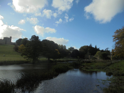DSC02837.JPG