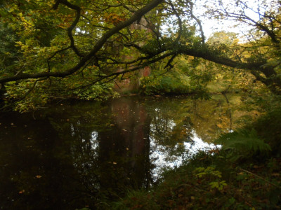 Down by the Derwent