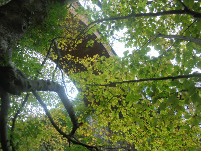 A difficult to photograph viaduct<br />obscured by trees and steeply sloping banksides