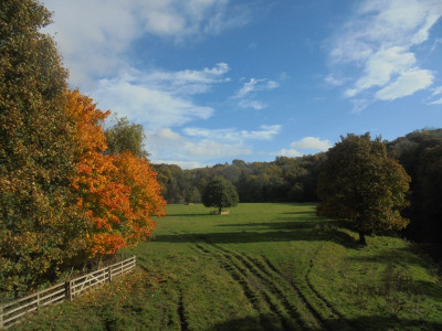 or a bit of autumn colour