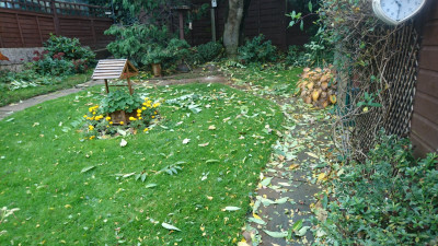 Some clearing up needed!!