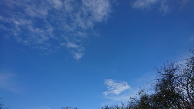 Own work 10 mins ago!