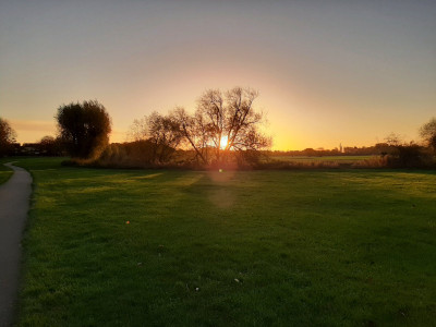 20221102_071938.jpg