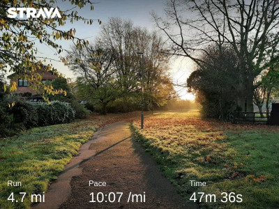 strava6212416065691222469.jpg