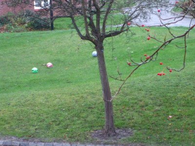DSCF3746.JPG