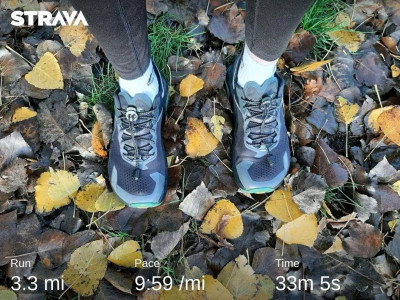 trail1.jpg