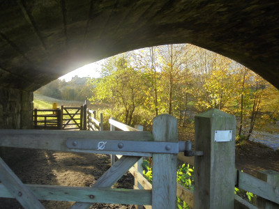 View from under the Bridge Riverside Path