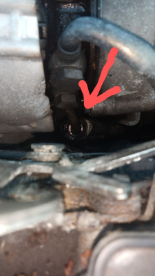 IMG_20221122_152821~2.jpg