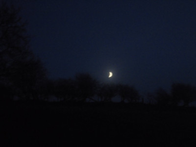 Moon rising