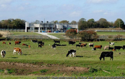 geograph-5365673-by-Roger--Kidd.jpg