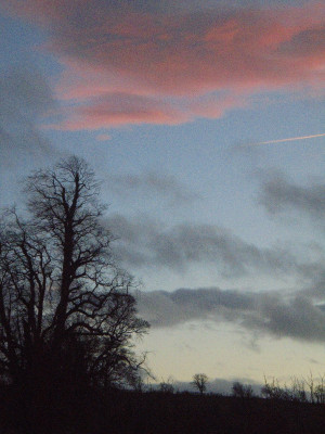 the plane making a pink vapour trail across the bleak terrain