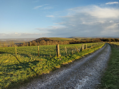 Bignor Hill - own work