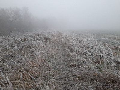 20230121_080111.jpg