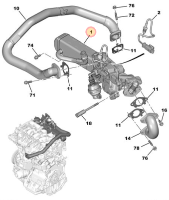 22 egr.PNG