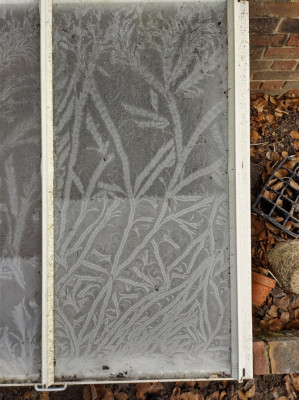 Frozen coldframe glass1 - own work