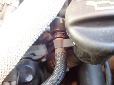 Filter on oil filler neck.JPG