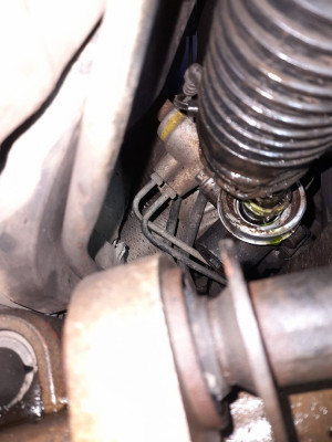 Part of seal is sliding on the shaft