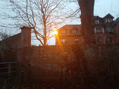 20230216_070033.jpg