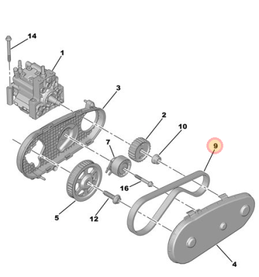 Orbit C6 Inj Pump Belt.PNG