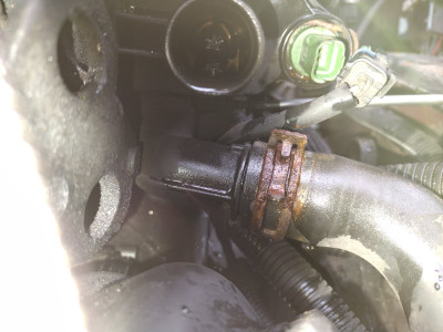 Lower rigid plastic coolant hose