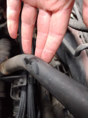 Chaffed hose