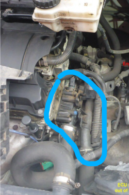 Hoses