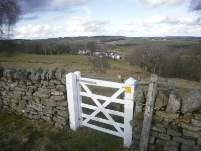 Across from the footpath