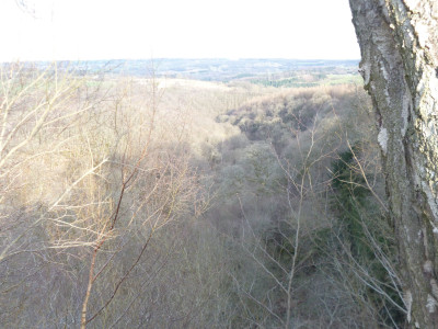 P1080726.JPG