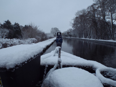 This morning (10/03), near the Prees arm